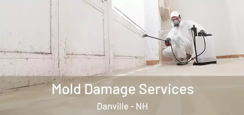  Mold Damage Services Danville - NH