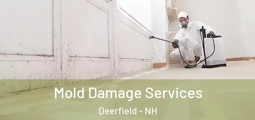Mold Damage Services Deerfield - NH