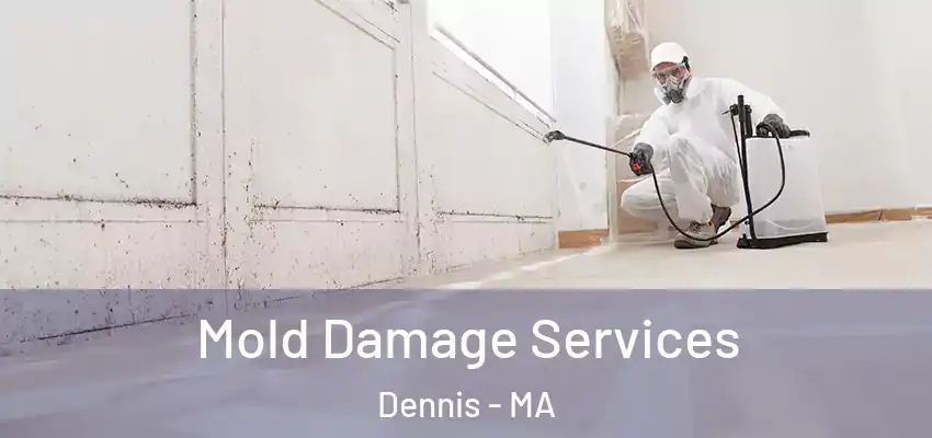Mold Damage Services Dennis - MA