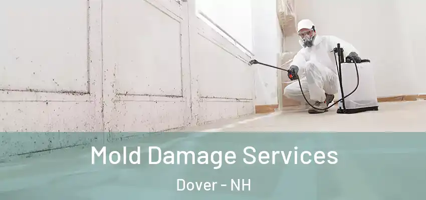 Mold Damage Services Dover - NH