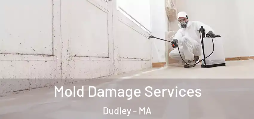 Mold Damage Services Dudley - MA