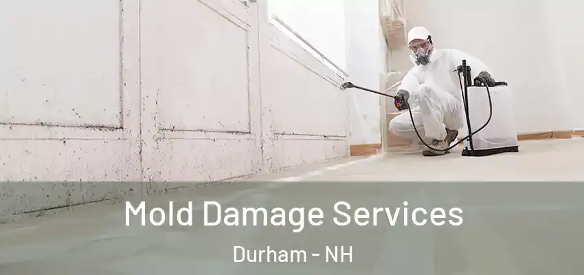 Mold Damage Services Durham - NH