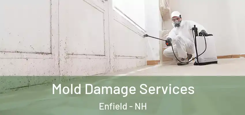 Mold Damage Services Enfield - NH
