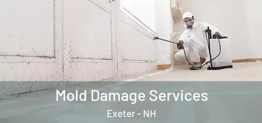 Mold Damage Services Exeter - NH