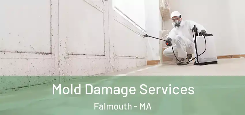  Mold Damage Services Falmouth - MA