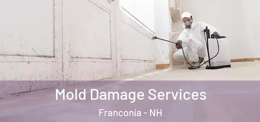  Mold Damage Services Franconia - NH