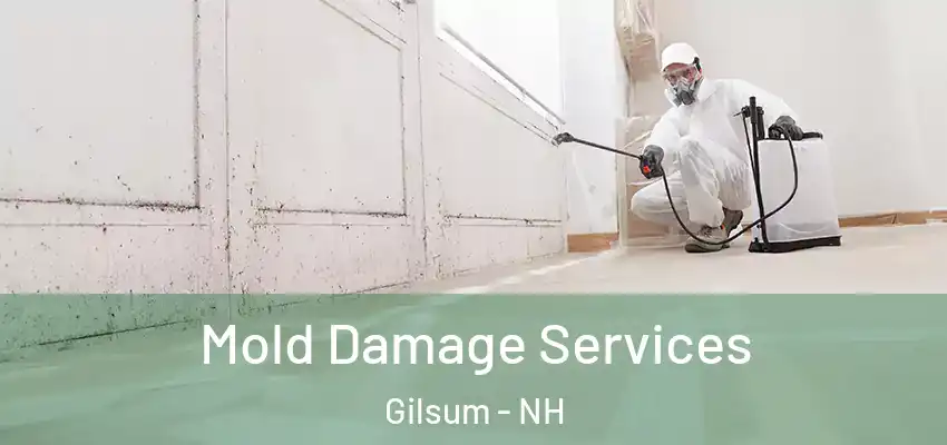 Mold Damage Services Gilsum - NH