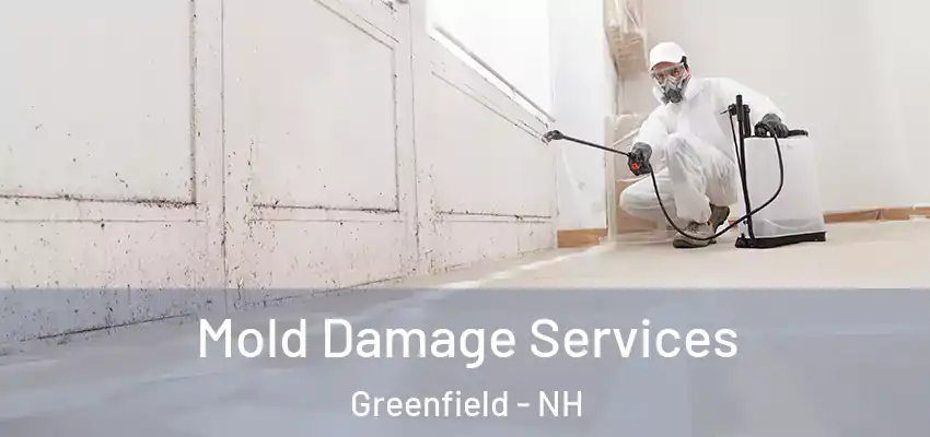 Mold Damage Services Greenfield - NH