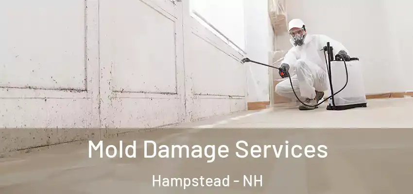 Mold Damage Services Hampstead - NH