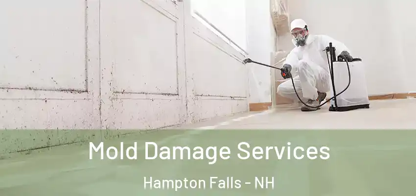 Mold Damage Services Hampton Falls - NH