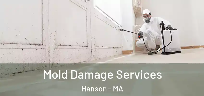  Mold Damage Services Hanson - MA