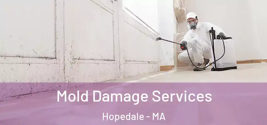 Mold Damage Services Hopedale - MA