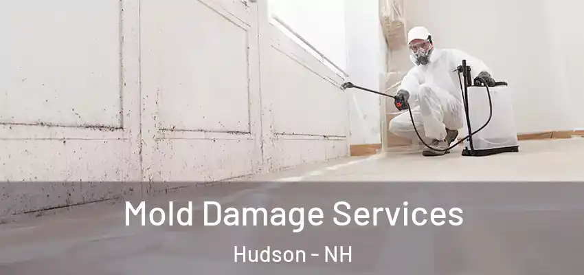 Mold Damage Services Hudson - NH