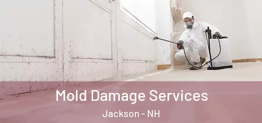Mold Damage Services Jackson - NH