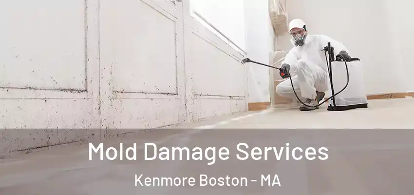 Mold Damage Services Kenmore Boston - MA
