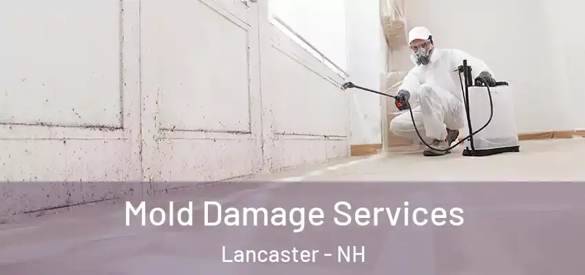 Mold Damage Services Lancaster - NH