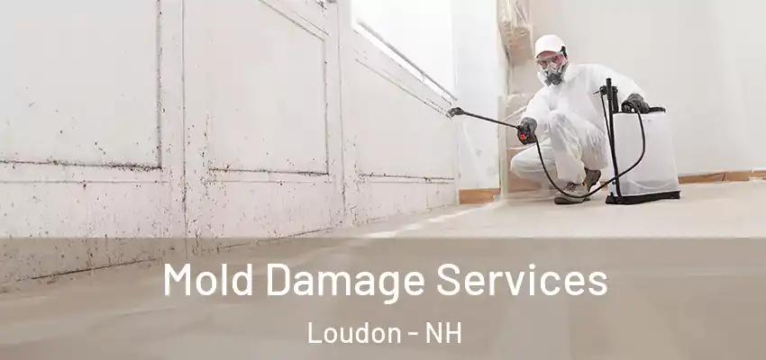 Mold Damage Services Loudon - NH