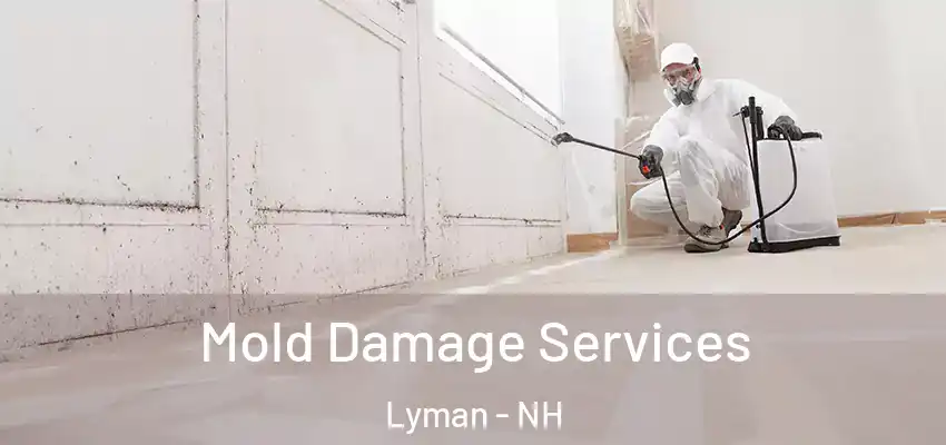 Mold Damage Services Lyman - NH
