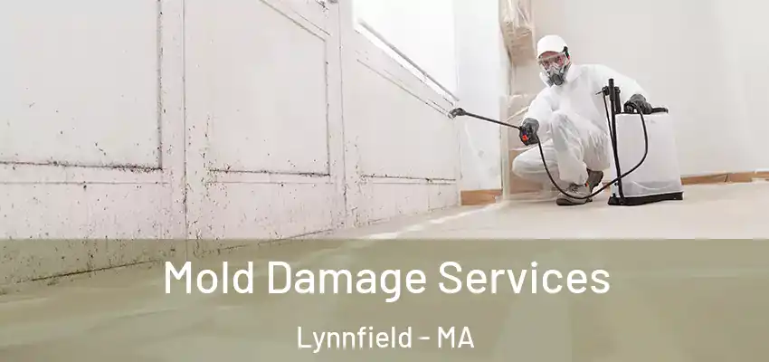 Mold Damage Services Lynnfield - MA
