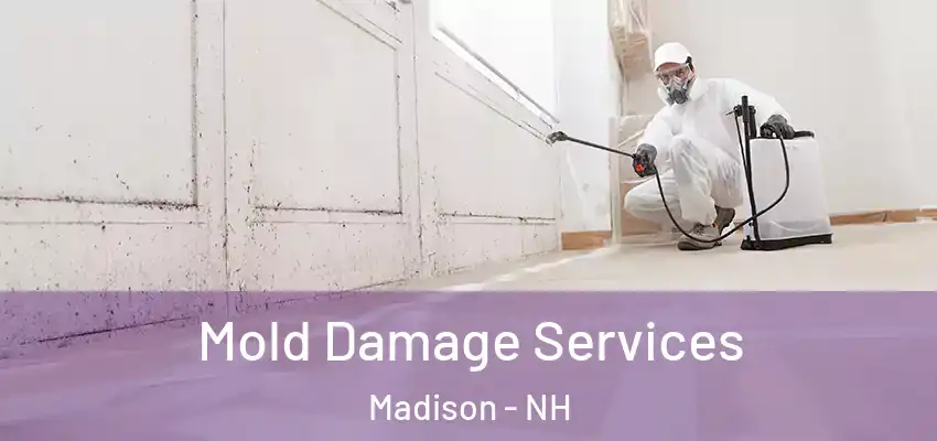 Mold Damage Services Madison - NH