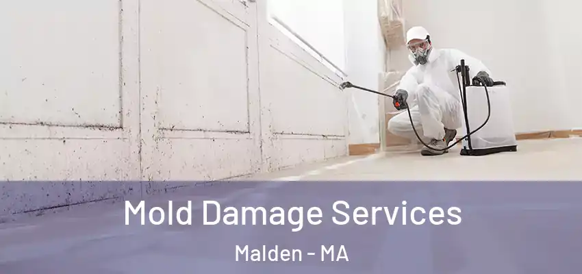Mold Damage Services Malden - MA