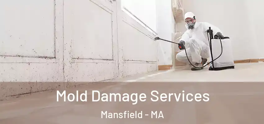  Mold Damage Services Mansfield - MA