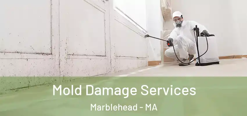 Mold Damage Services Marblehead - MA