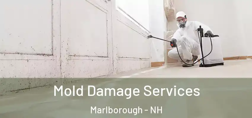 Mold Damage Services Marlborough - NH