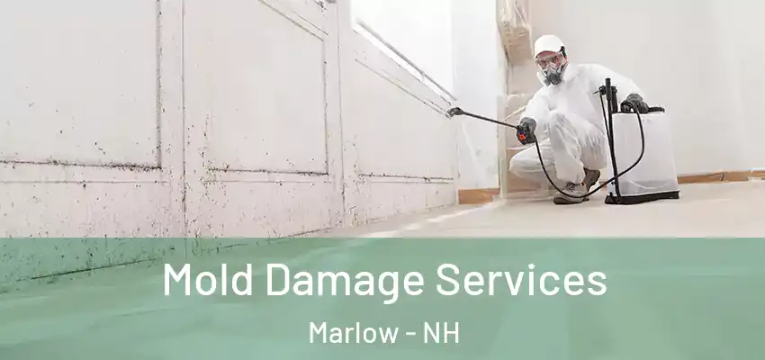 Mold Damage Services Marlow - NH