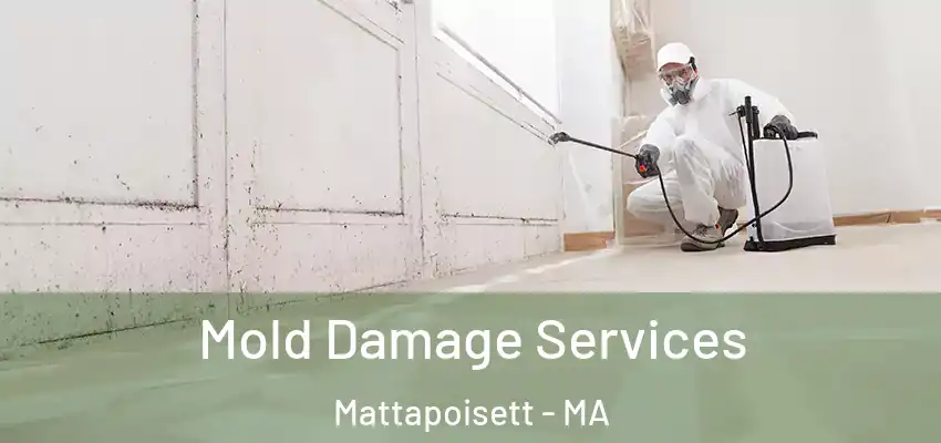  Mold Damage Services Mattapoisett - MA