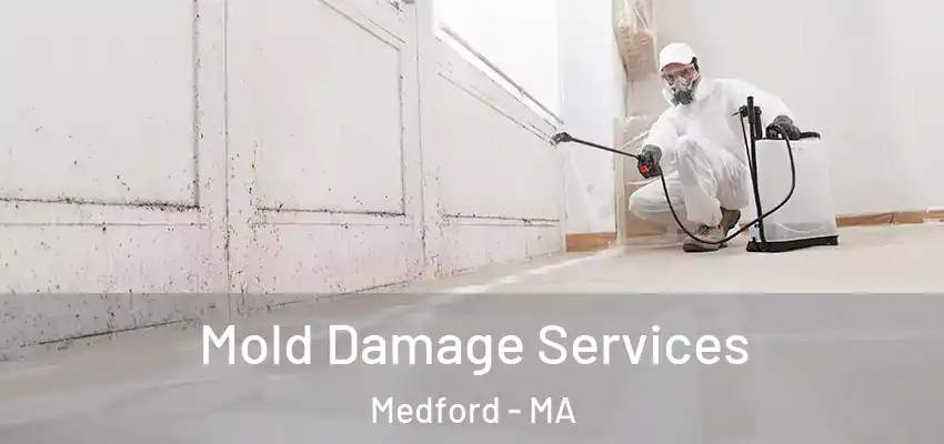  Mold Damage Services Medford - MA