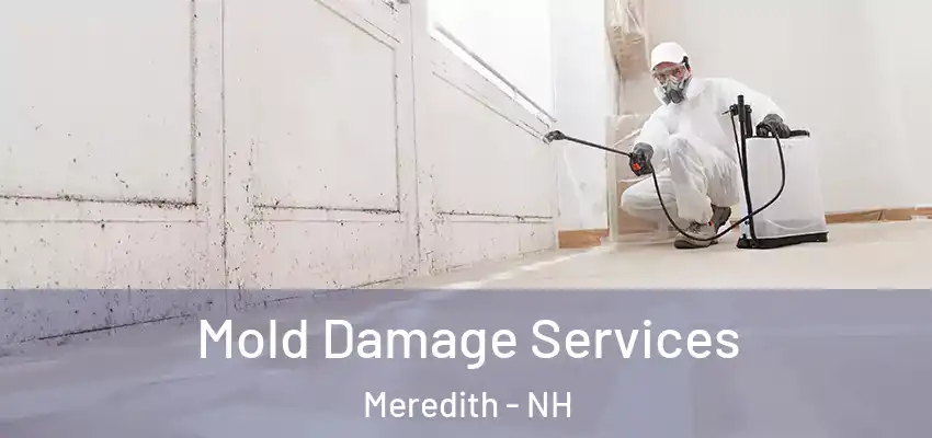 Mold Damage Services Meredith - NH