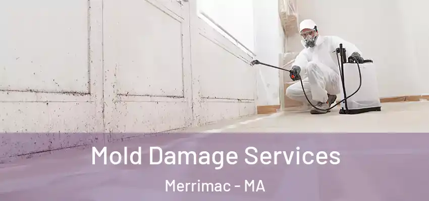 Mold Damage Services Merrimac - MA