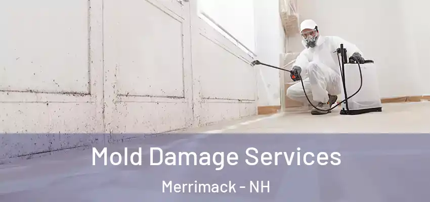 Mold Damage Services Merrimack - NH