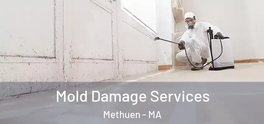 Mold Damage Services Methuen - MA