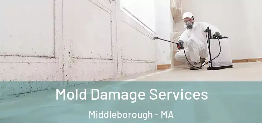 Mold Damage Services Middleborough - MA