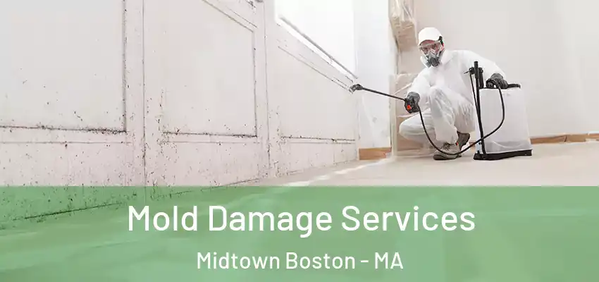 Mold Damage Services Midtown Boston - MA