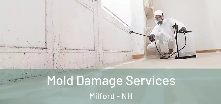Mold Damage Services Milford - NH