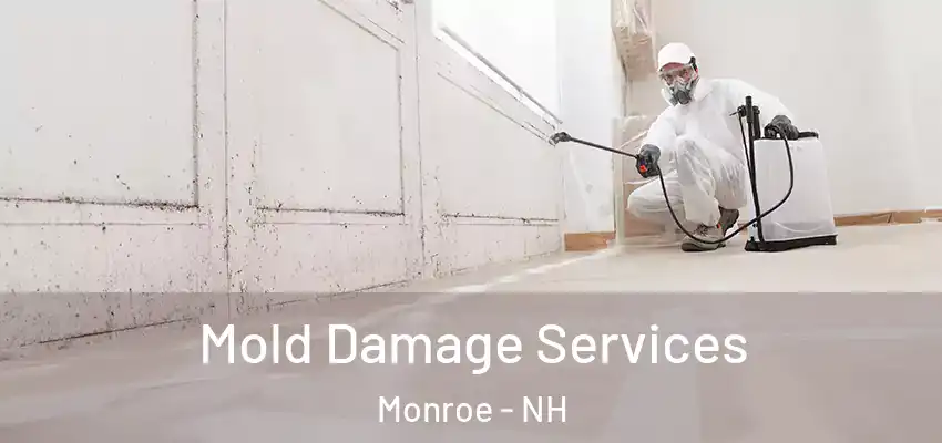 Mold Damage Services Monroe - NH