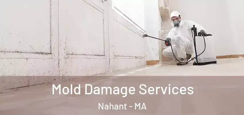 Mold Damage Services Nahant - MA