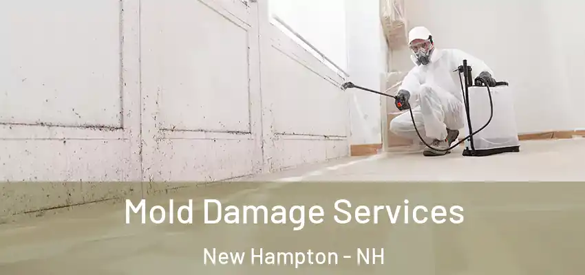 Mold Damage Services New Hampton - NH