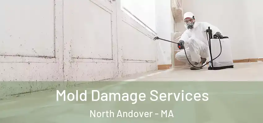 Mold Damage Services North Andover - MA