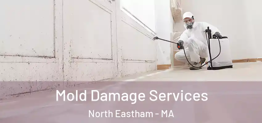 Mold Damage Services North Eastham - MA