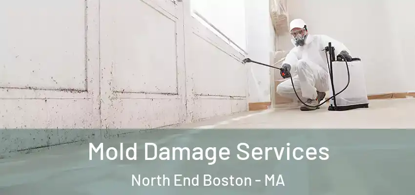 Mold Damage Services North End Boston - MA