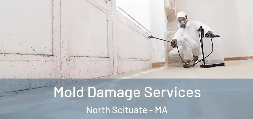Mold Damage Services North Scituate - MA