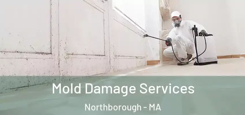 Mold Damage Services Northborough - MA