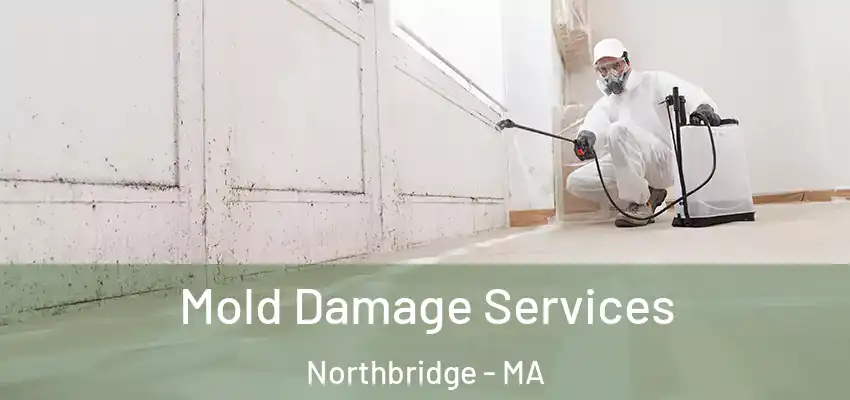 Mold Damage Services Northbridge - MA