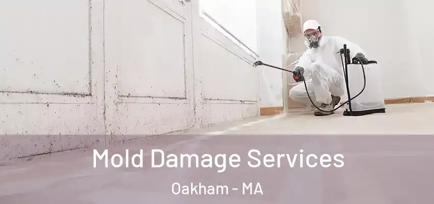 Mold Damage Services Oakham - MA