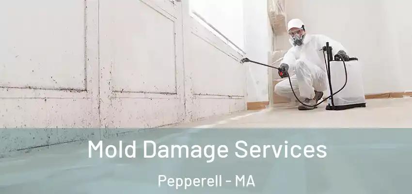 Mold Damage Services Pepperell - MA