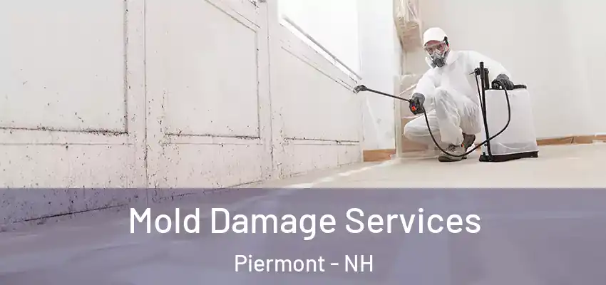 Mold Damage Services Piermont - NH